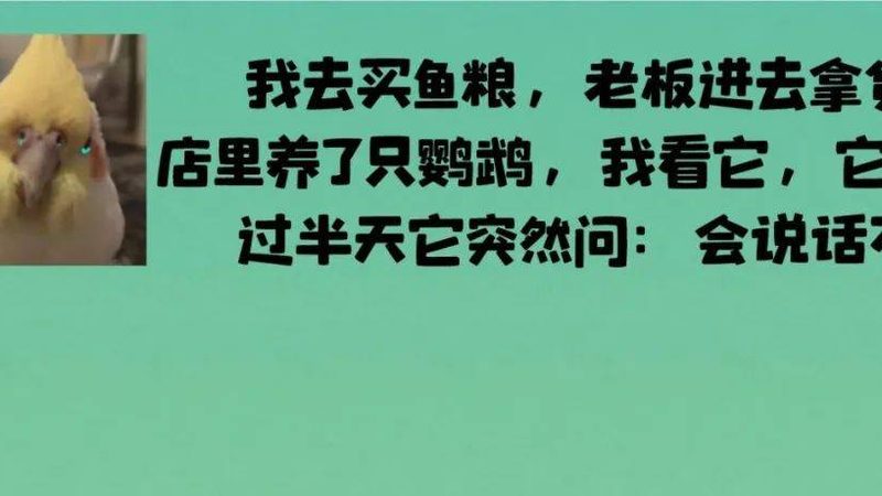 食品招商合同：规范条款与注意事项解析